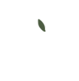 restaurant origen cusco logo